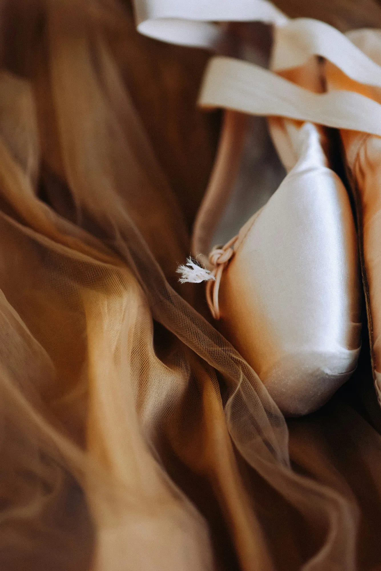 Pointe technique training.