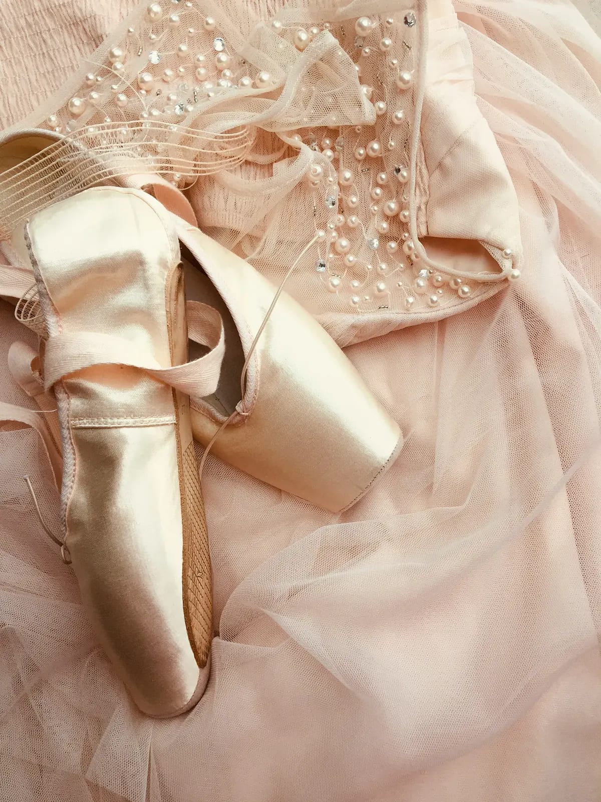 Private ballet lesson at the barre.